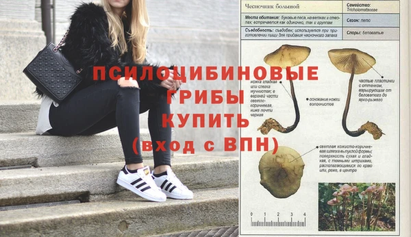 альфа пвп Армянск