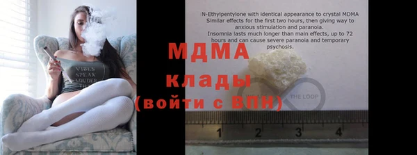индика Алексин