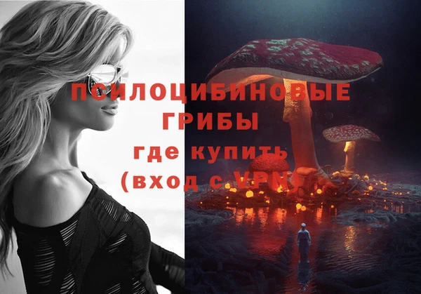 альфа пвп Армянск