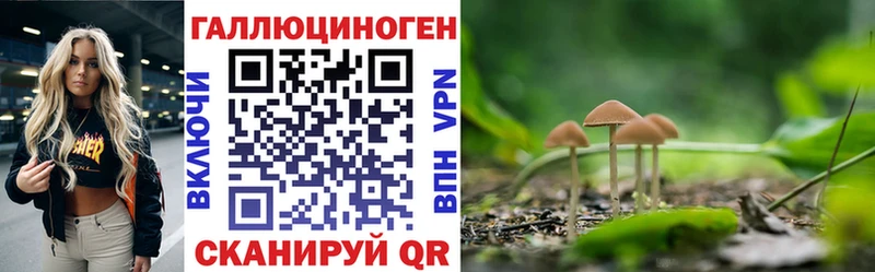 купить закладку  Хилок  ОМГ ОМГ рабочий сайт  Галлюциногенные грибы прущие грибы 